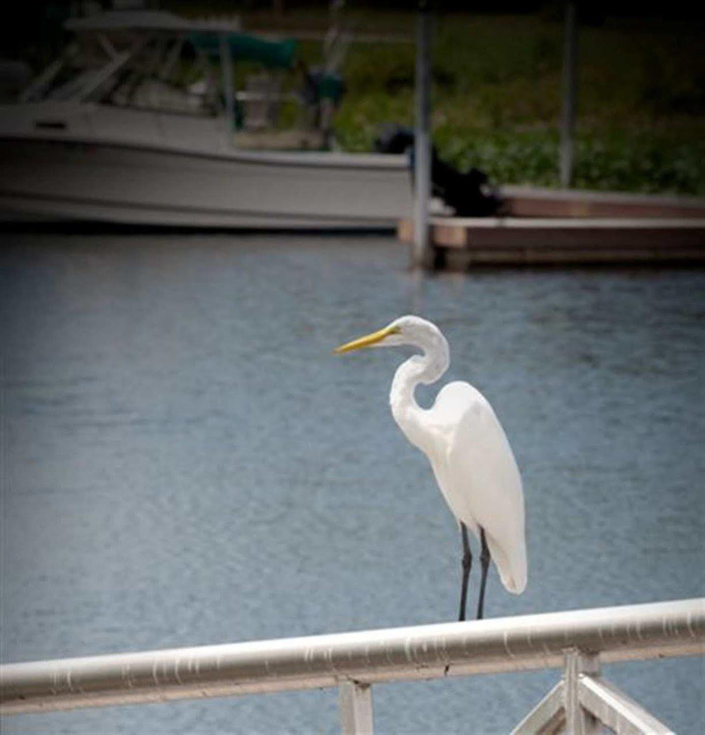 Hampton Inn Okeechobee - Lake Okeechobee Exteriör bild